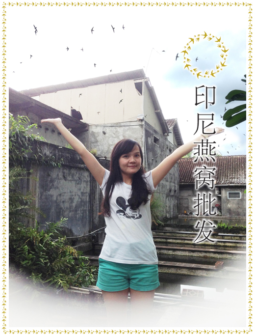 印尼燕窝批发