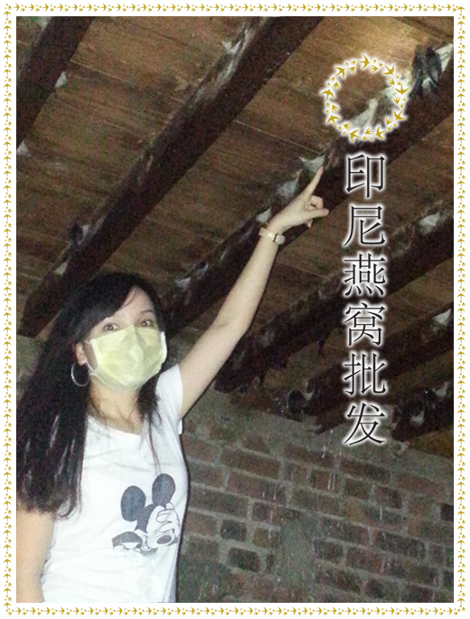印尼燕窝批发